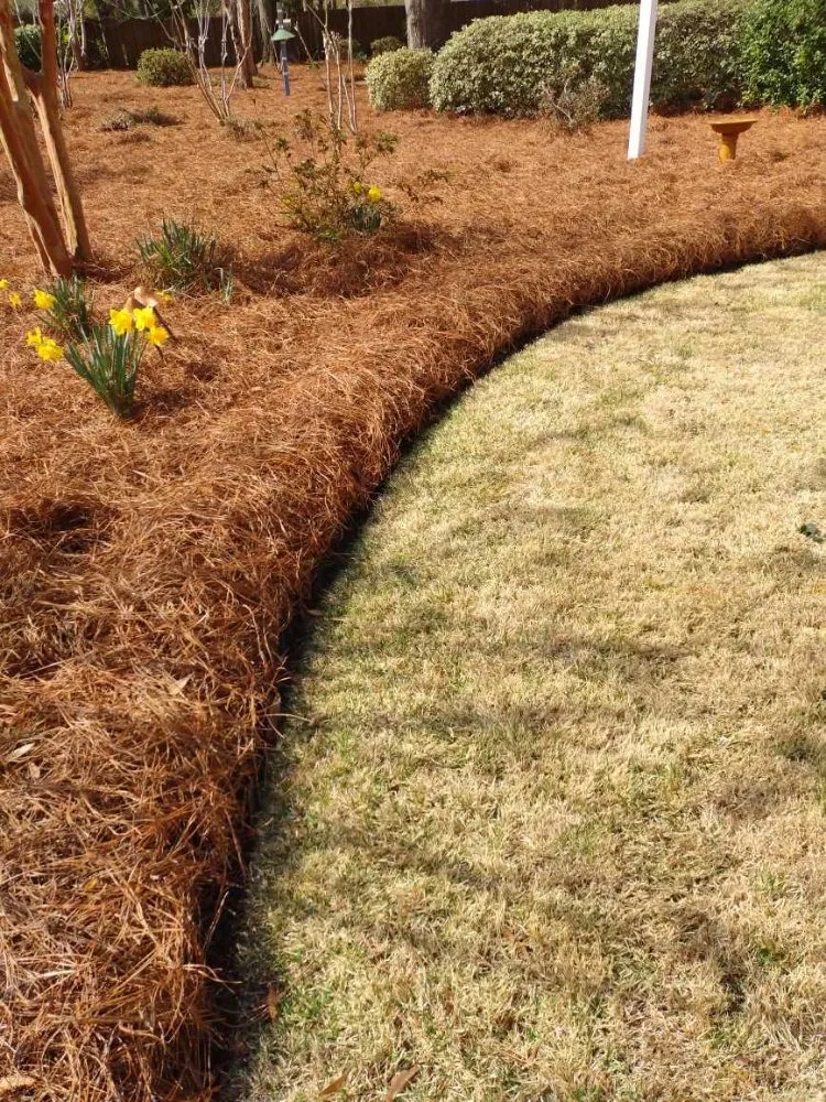 Top-rated landscaping services in Leland, NC by Angel's Lawn Service