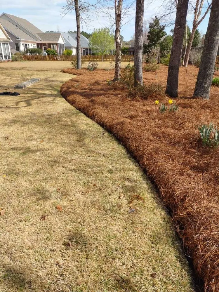 Affordable landscaping services in Leland, NC by Angel's Lawn Service
