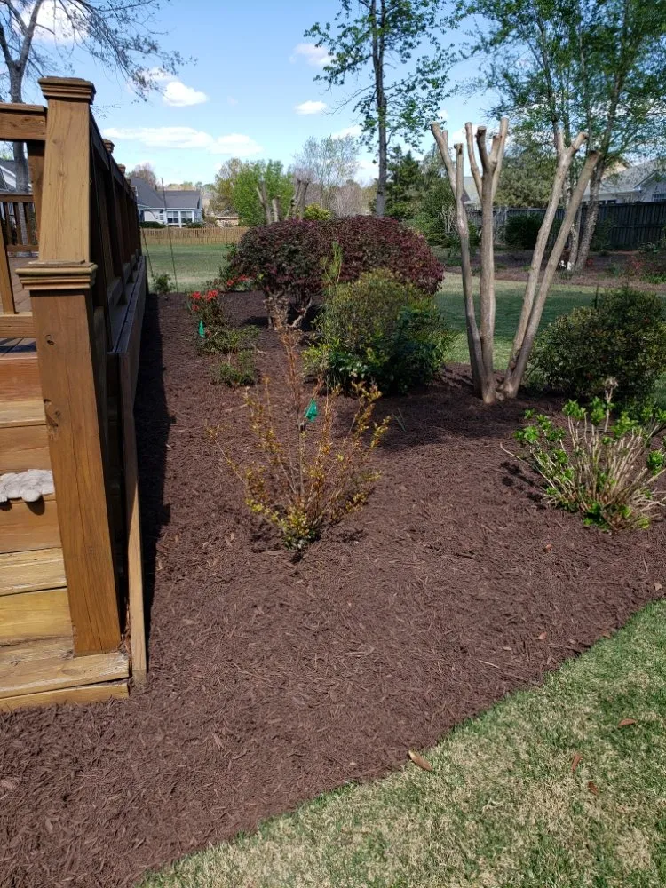 Affordable landscaping services in Leland, NC - Angel's Lawn Service