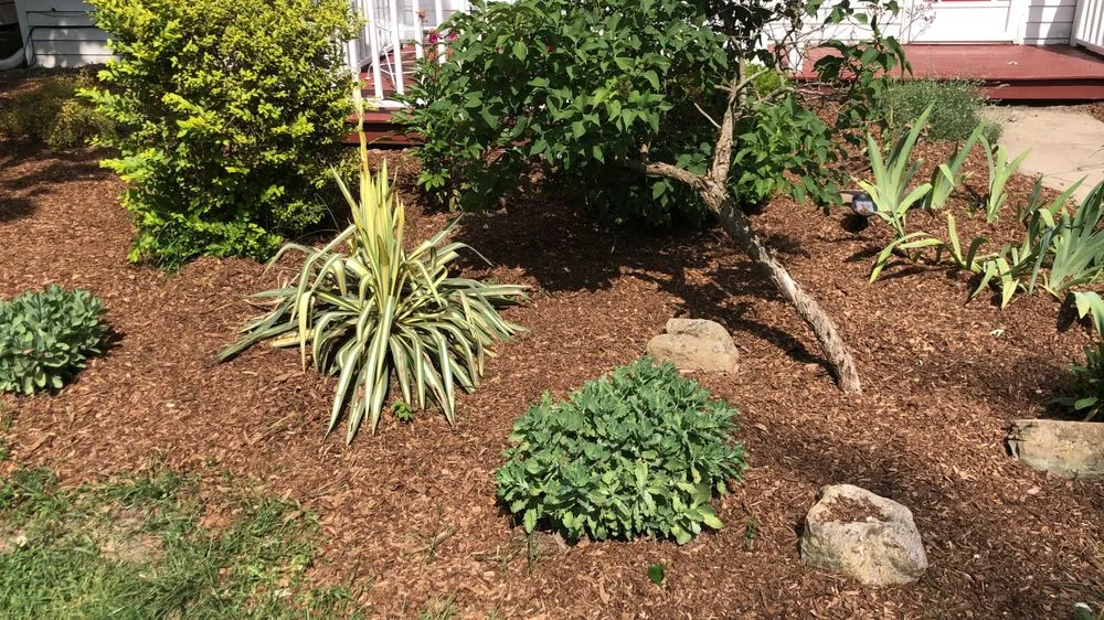 Affordable lawn mowing service for beautiful yards across Toledo, OH - Angel's Lawn Service