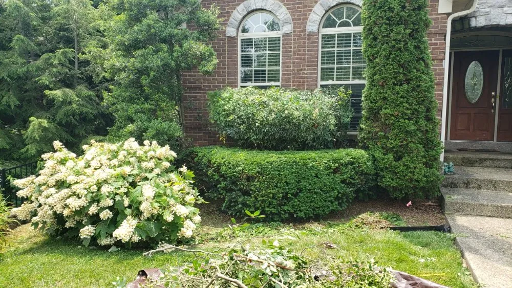 Top-rated garden landscaping in Georgetown, KY by Angels Lawncare