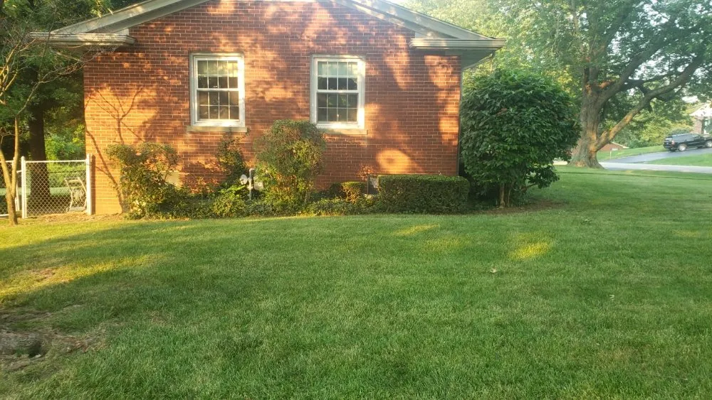 Custom lawn care service for homes across Georgetown, KY - Angels Lawncare