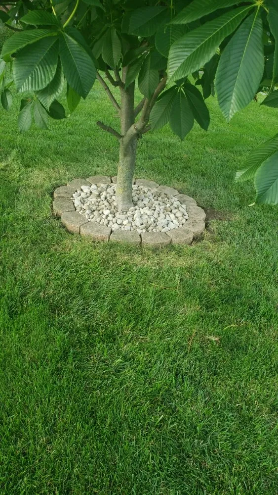 Trusted landscaping services experts serving Georgetown, KY - Angels Lawncare