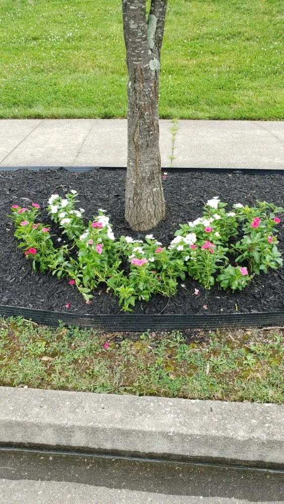 Reliable lawn mowing service in Georgetown, KY by Angels Lawncare