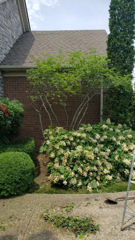 Expert yard maintenance with custom design in Georgetown, KY by Angels Lawncare