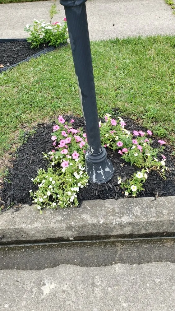 Local landscape installation for residential properties across Georgetown, KY - Angels Lawncare