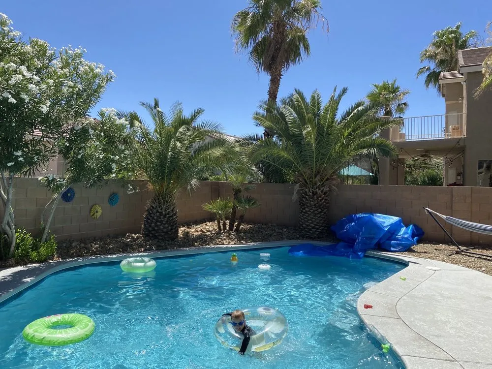 Professional landscape design in North Las Vegas, NV by Angel's PalmTree Services