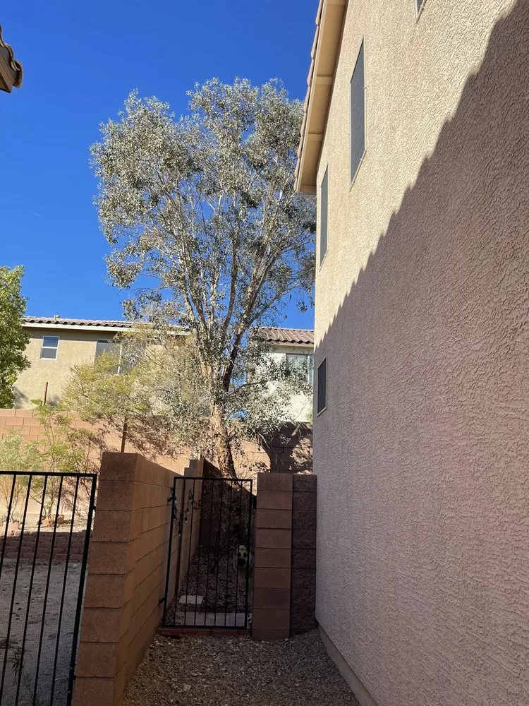 Affordable garden landscaping for outdoor upgrades in North Las Vegas, NV by Angel's PalmTree Services