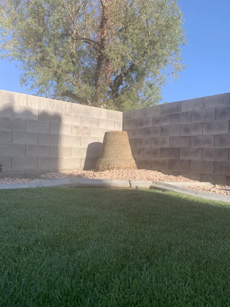 Local residential landscaping experts serving North Las Vegas, NV - Angel's PalmTree Services