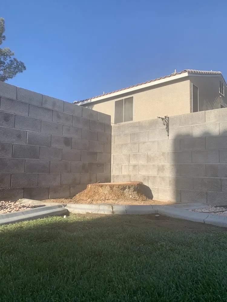 Trusted landscape design for outdoor upgrades in North Las Vegas, NV by Angel's PalmTree Services