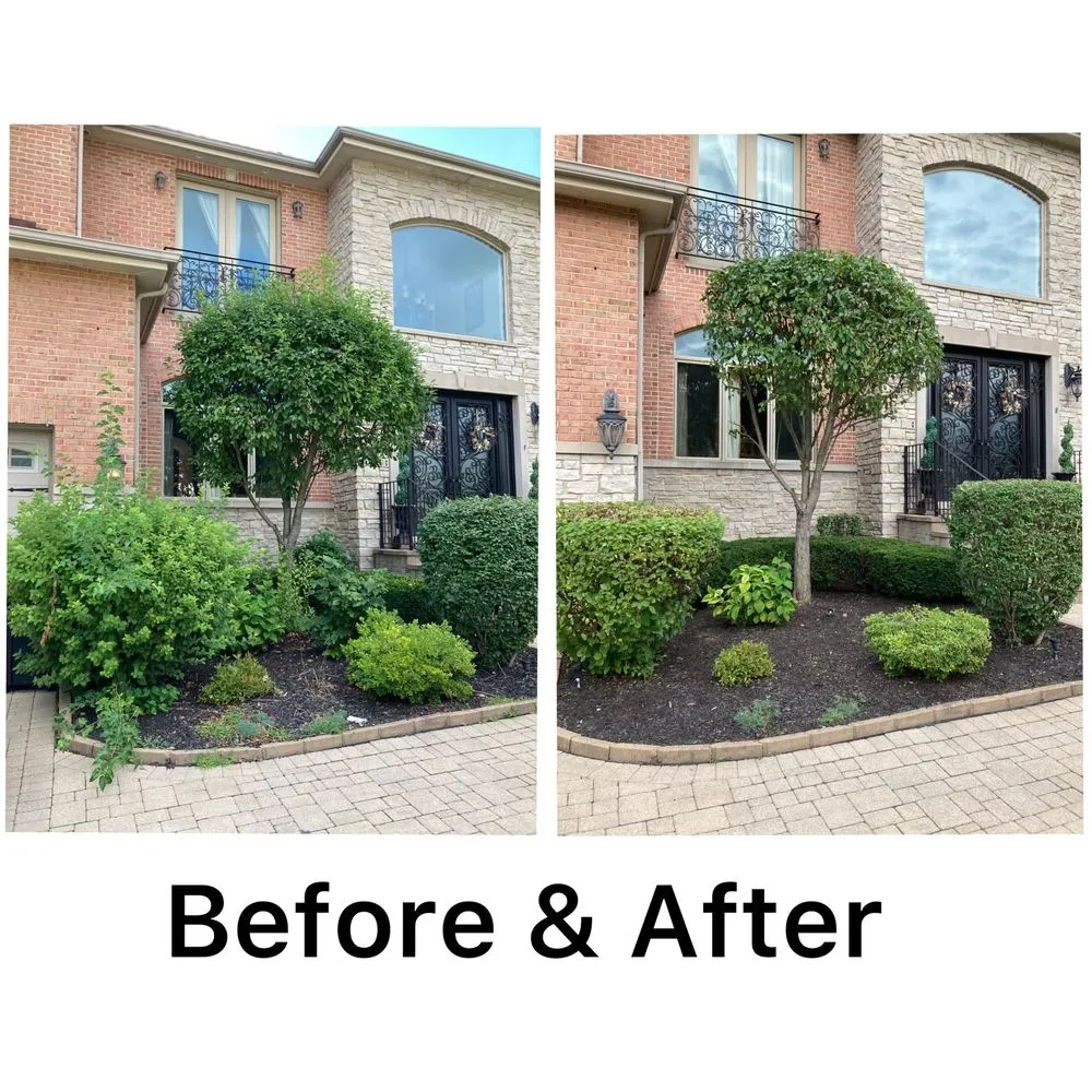 Reliable landscape design in Elk Grove Village, IL by Angel's Right Way Landscaping