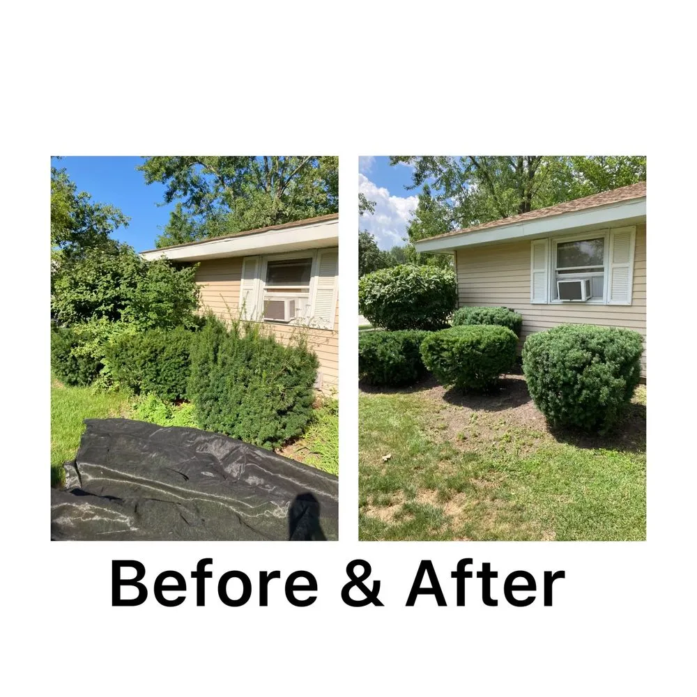 Expert yard maintenance for beautiful yards across Elk Grove Village, IL - Angel's Right Way Landscaping