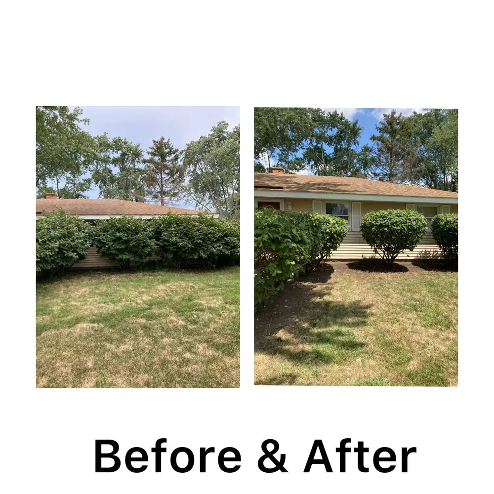 Local outdoor landscaping for homes in Elk Grove Village, IL by Angel's Right Way Landscaping