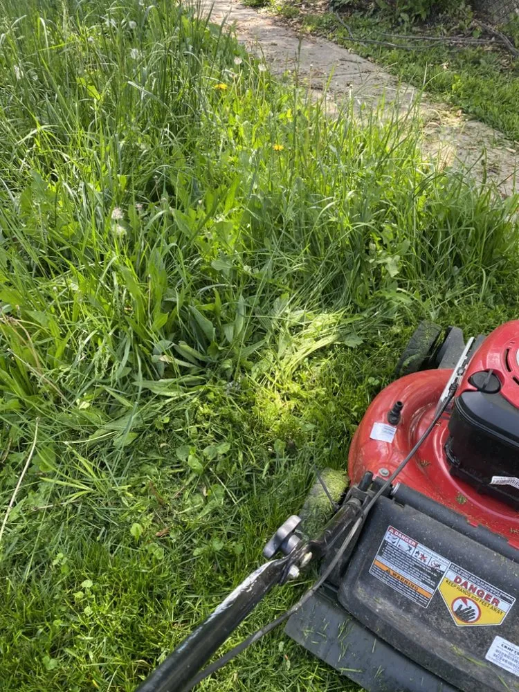 Professional outdoor landscaping experts serving Indianapolis, IN - Angels Service