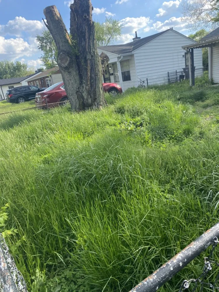 Affordable lawn care service in Indianapolis, IN - Angels Service