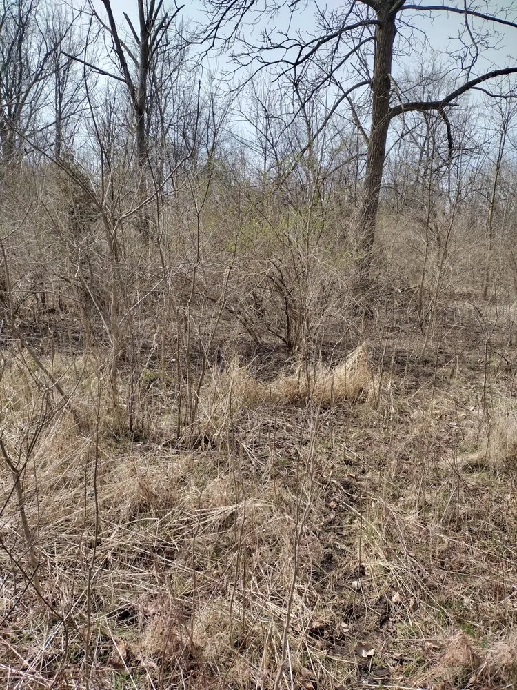 Professional yard maintenance for outdoor upgrades across Waukegan, IL - Angel's Services Lawn Care