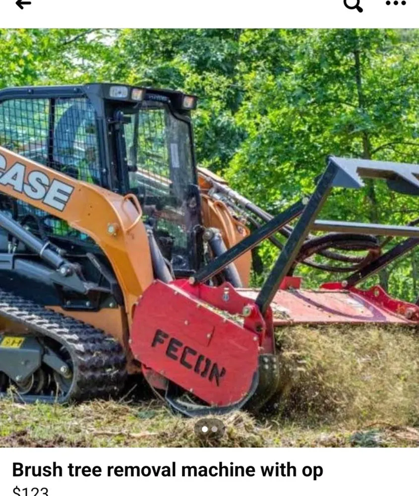 Professional yard maintenance for beautiful yards across Waukegan, IL - Angel's Services Lawn Care