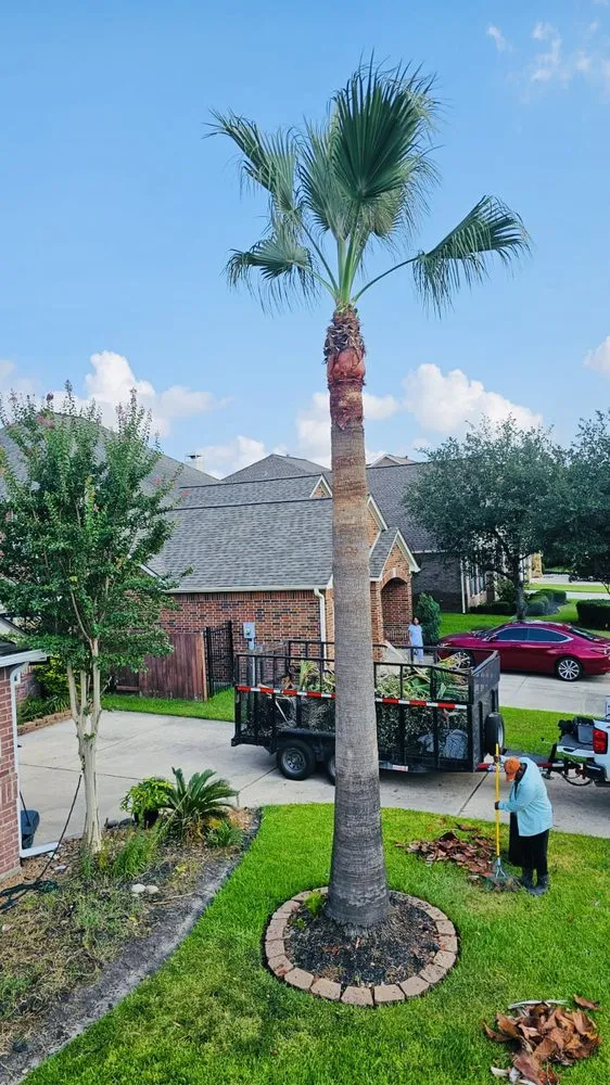 Trusted landscaping services experts serving Katy, TX - Angel's Tree Service And Lawn Care