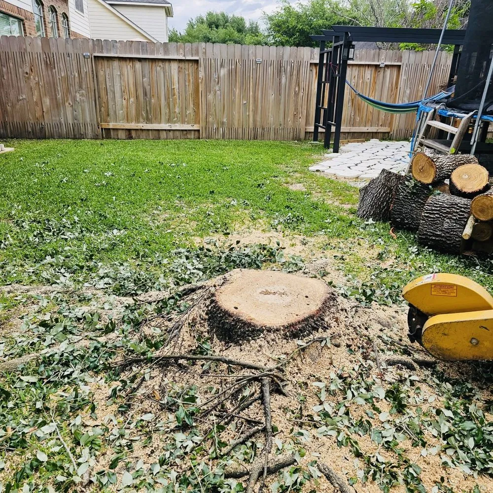 Top-rated outdoor landscaping experts serving Katy, TX - Angel's Tree Service And Lawn Care