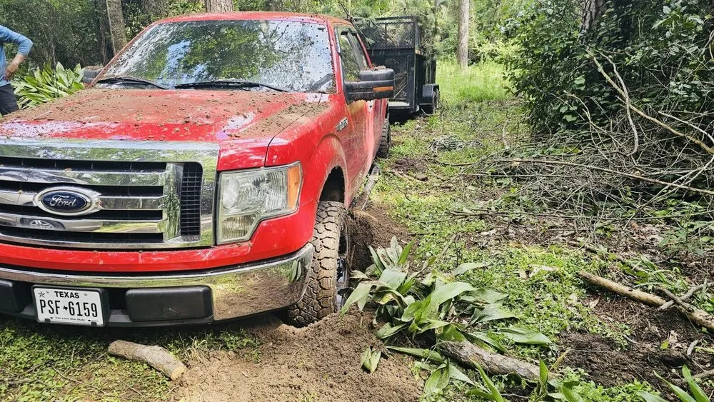Local yard maintenance for beautiful yards in Katy, TX by Angel's Tree Service And Lawn Care