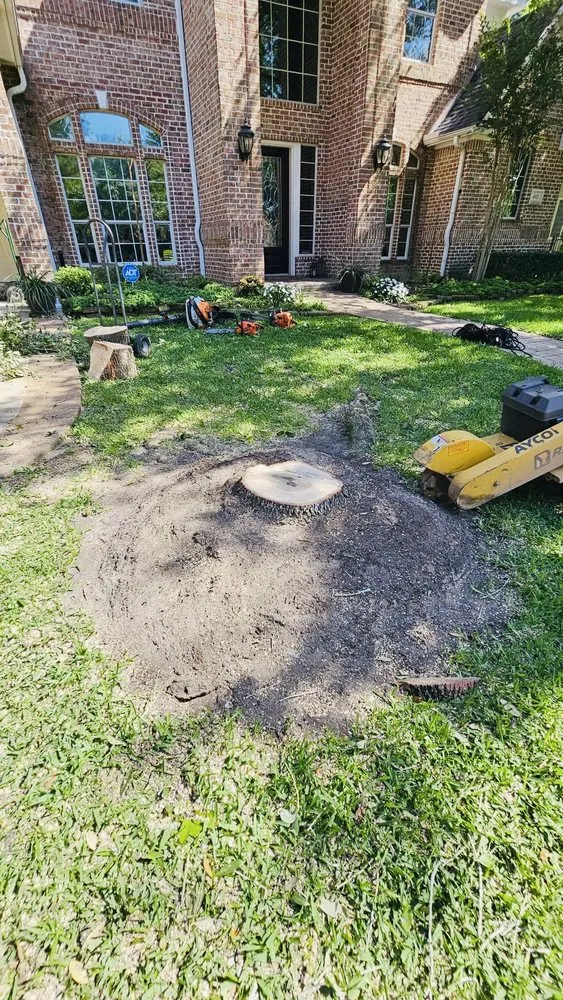 Local lawn care service for homes in Katy, TX by Angel's Tree Service And Lawn Care