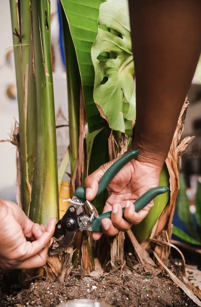 Local garden landscaping in Katy, TX by Angel's Tree Service And Lawn Care