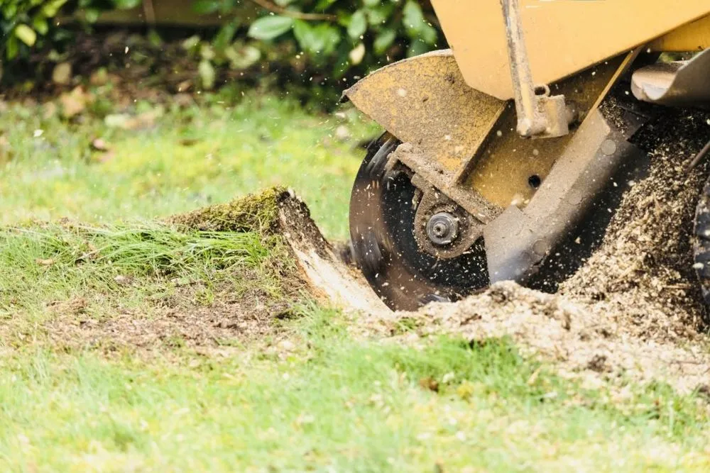 Local residential landscaping in Katy, TX - Angel's Tree Service And Lawn Care