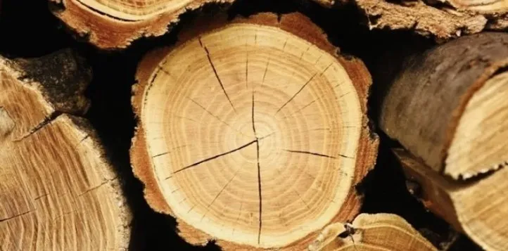 Local garden landscaping for beautiful yards in Katy, TX by Angel's Tree Service And Lawn Care