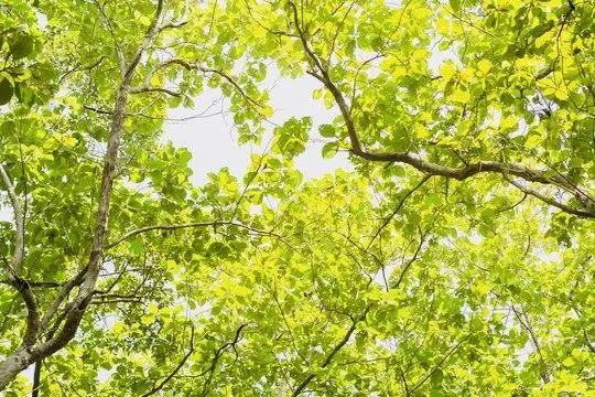 Expert landscape design experts serving Katy, TX - Angel's Tree Service And Lawn Care