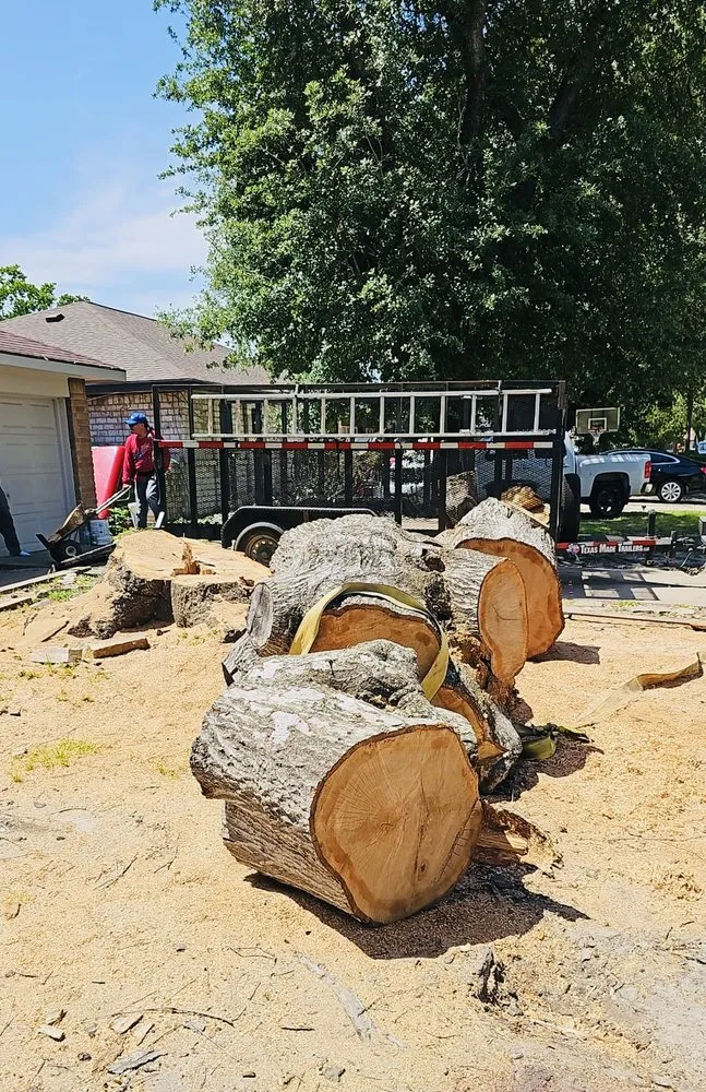 Top-rated outdoor landscaping in Katy, TX - Angel's Tree Service And Lawn Care