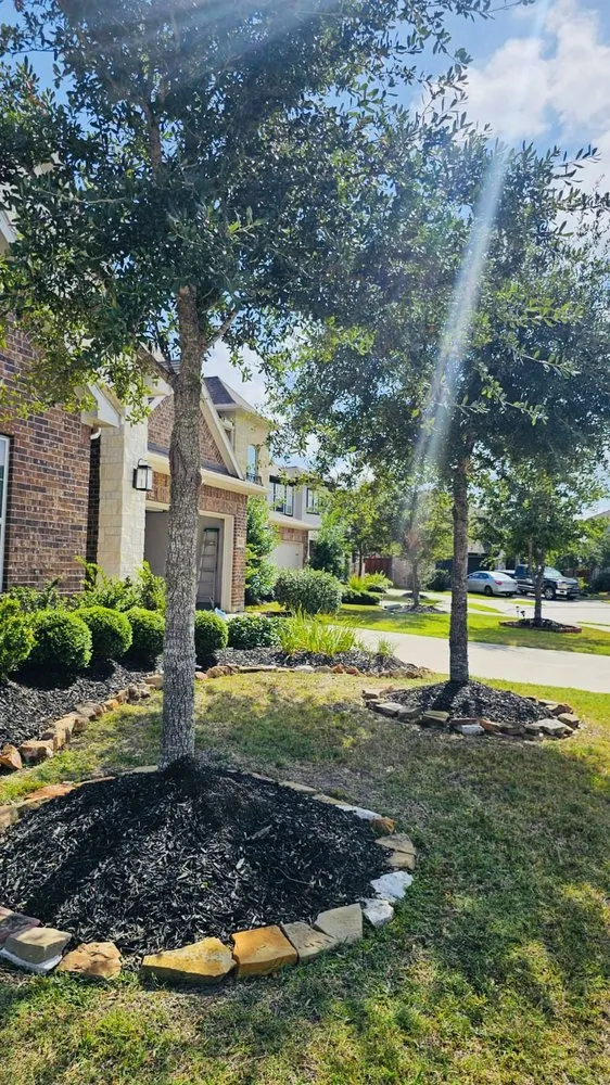 Expert lawn mowing service in Katy, TX - Angel's Tree Service And Lawn Care