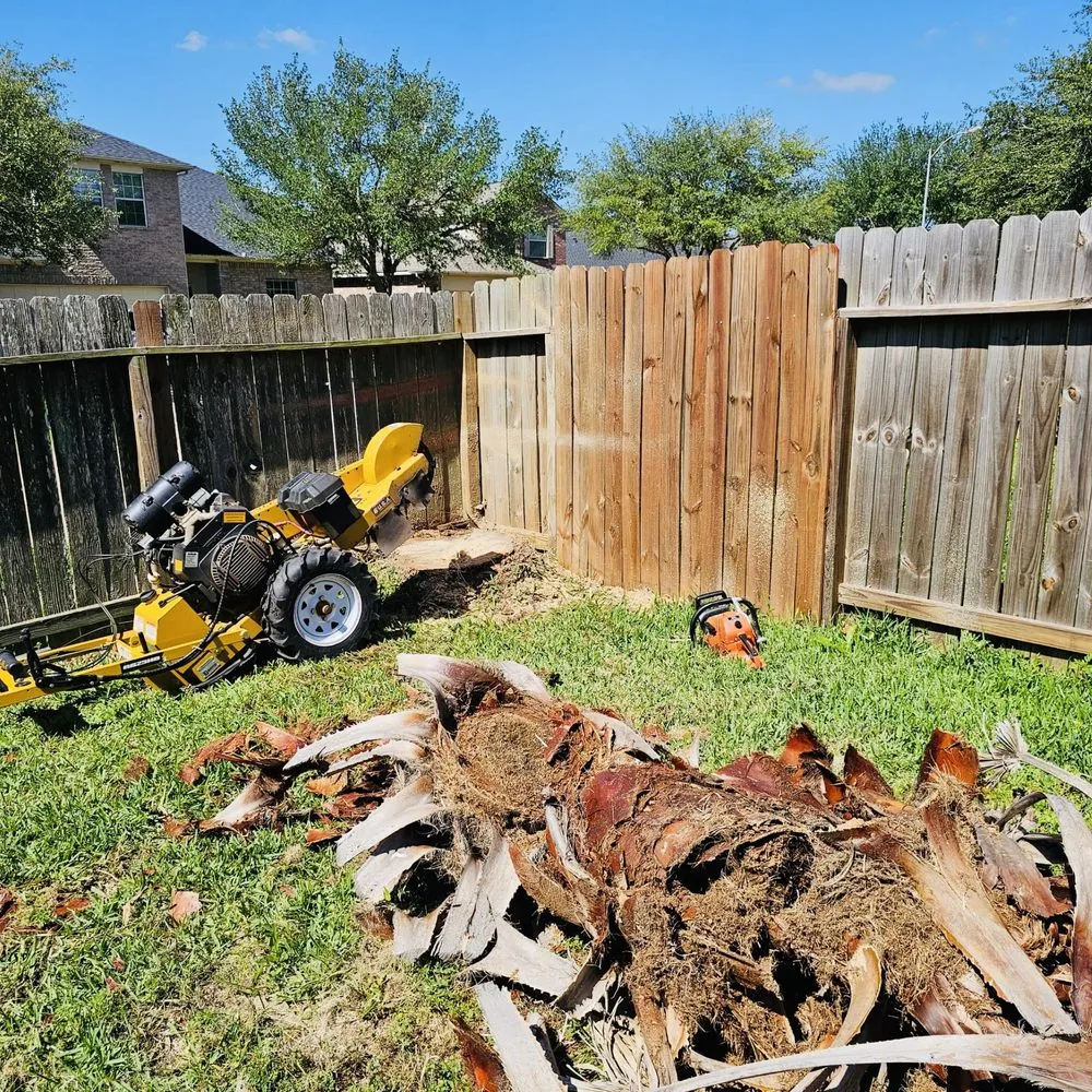 Top-rated landscape design in Katy, TX by Angel's Tree Service And Lawn Care