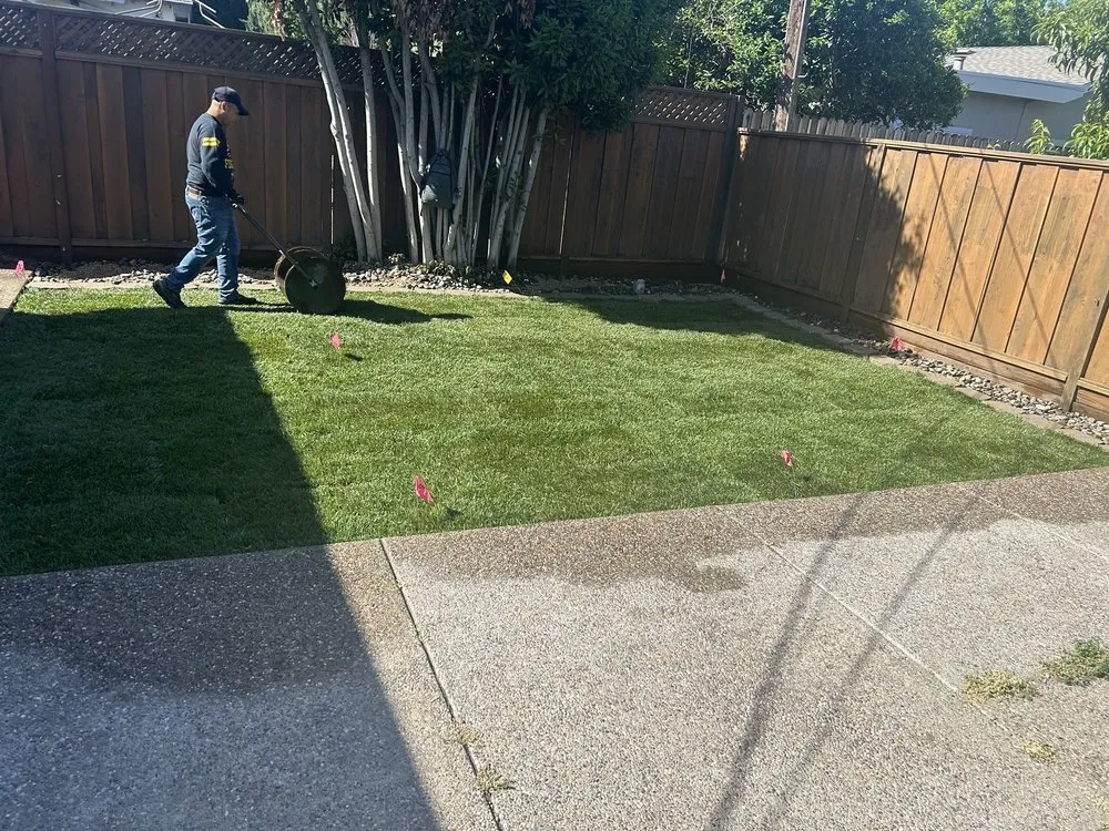 Top-rated landscape installation experts serving Tracy, CA - Angels yard maintenance