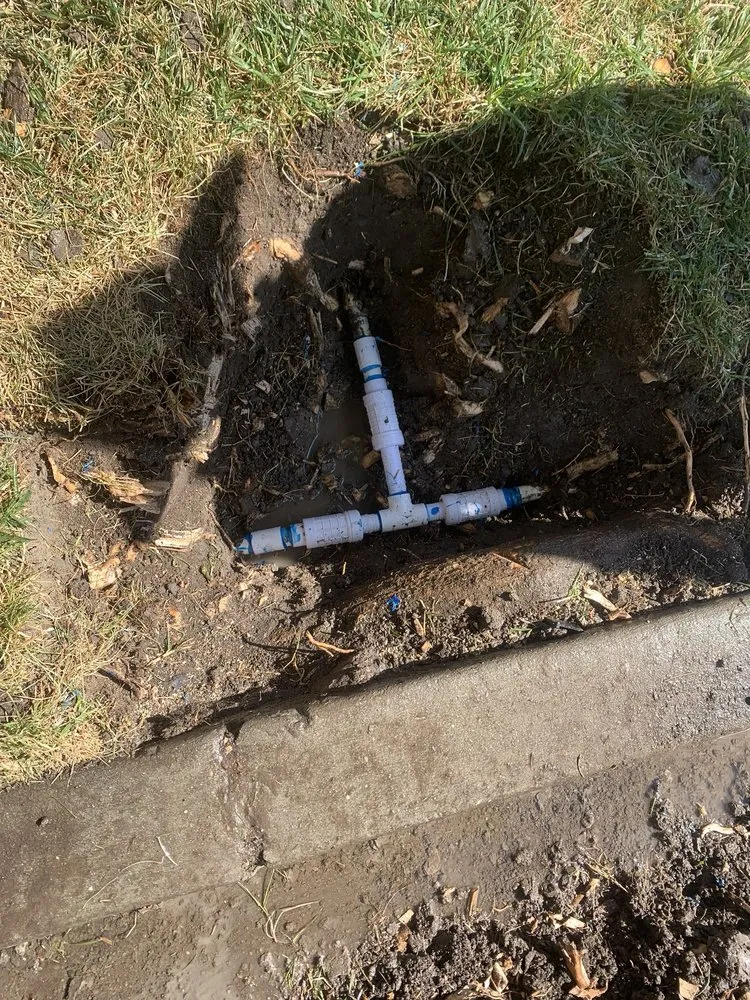 Professional landscaping services in Tracy, CA - Angels yard maintenance