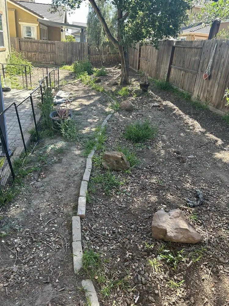 Local yard maintenance for beautiful yards in Tracy, CA by Angels yard maintenance