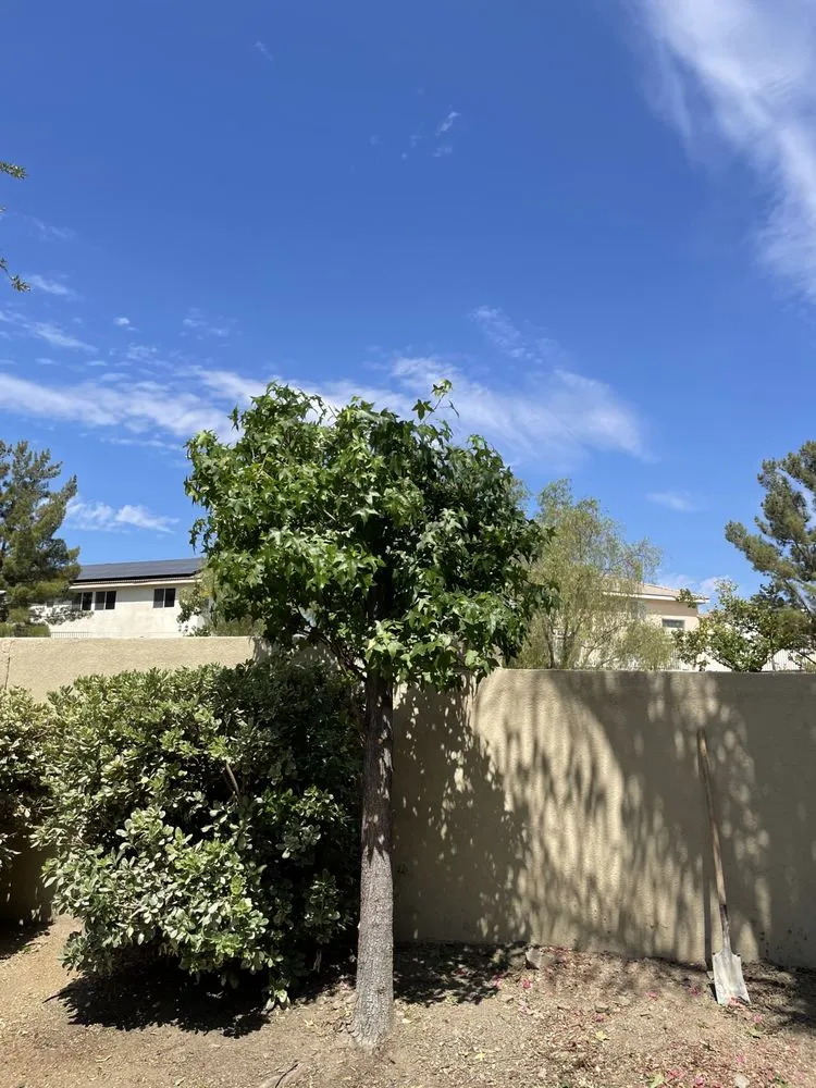 Trusted garden landscaping for year-round maintenance across Canyon Lake, CA - Angels Yard Service