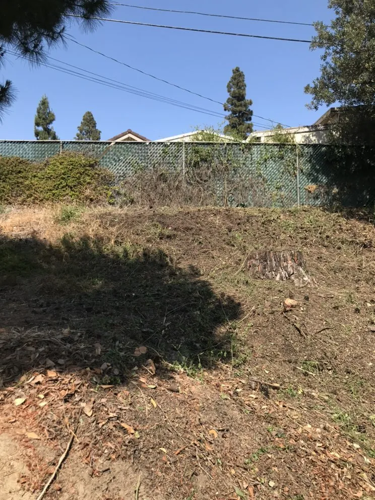 Trusted landscape design experts serving Canyon Lake, CA - Angels Yard Service