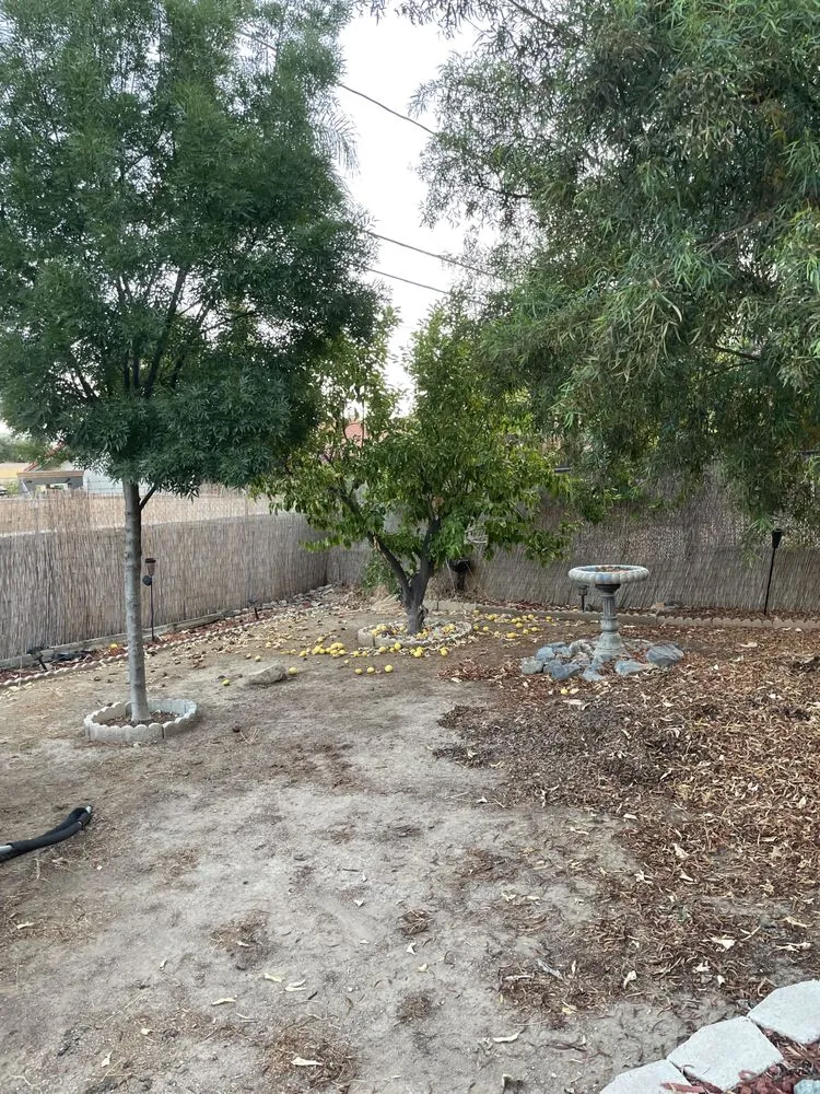 Expert outdoor landscaping in Canyon Lake, CA - Angels Yard Service