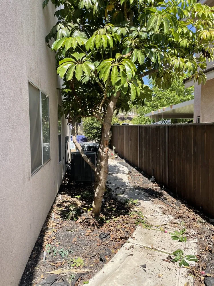 Reliable residential landscaping for beautiful yards in Canyon Lake, CA by Angels Yard Service