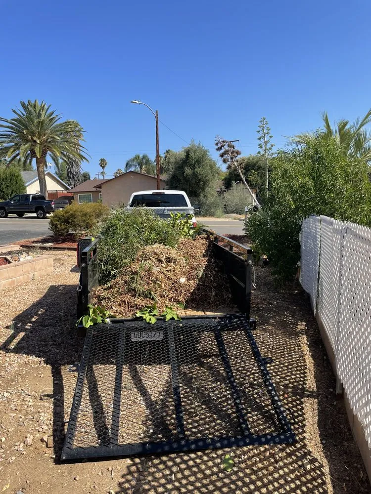 Reliable landscape installation for year-round maintenance in Canyon Lake, CA by Angels Yard Service