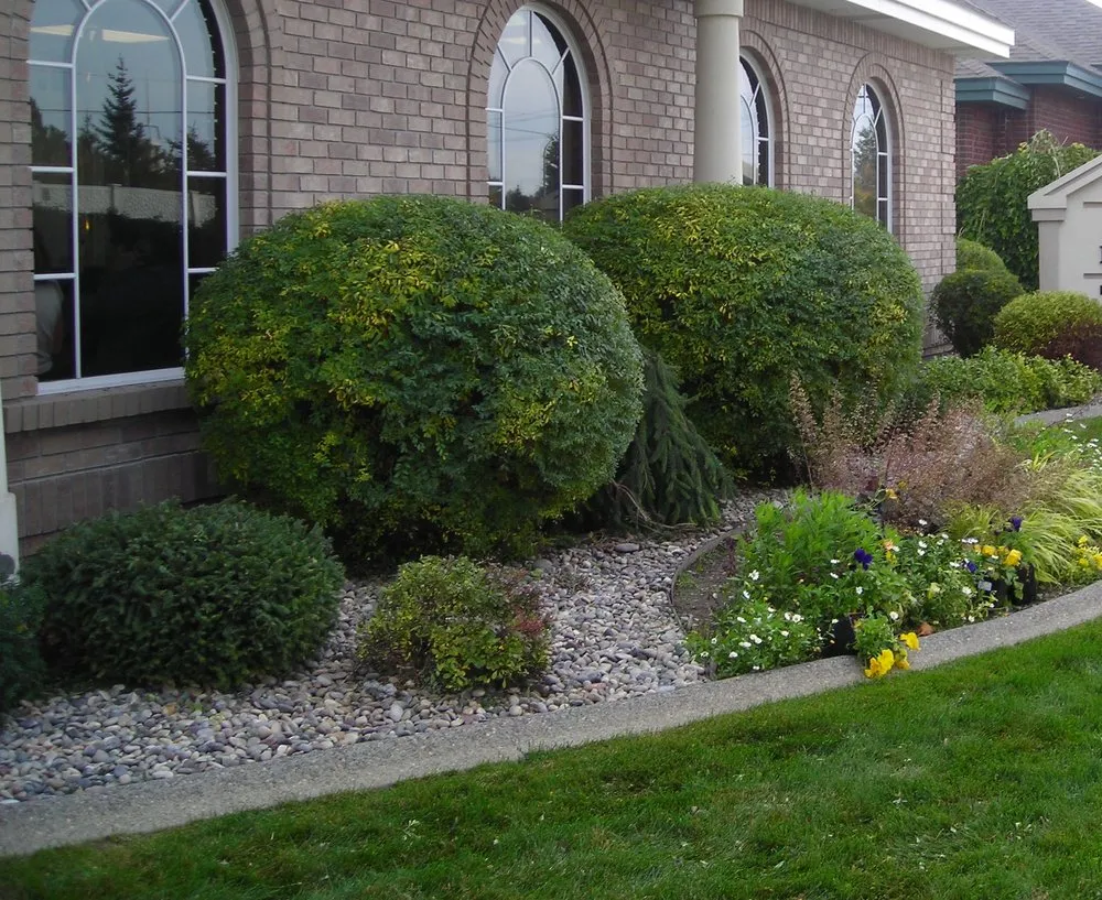 Professional yard cleanup service experts serving San Jose, CA - Angel’s Yard Service