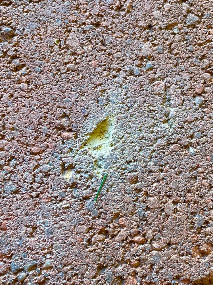 Professional outdoor landscaping with custom design in Rialto, CA by Angelus Block Co