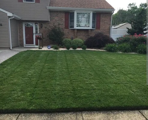 Angie Lawn Care Logo