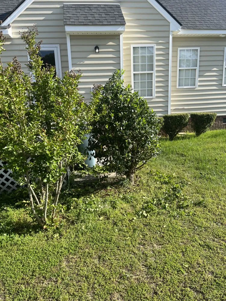 Expert outdoor landscaping experts serving Nashville, NC - Angie’s Lawn Maintenance and Landscape