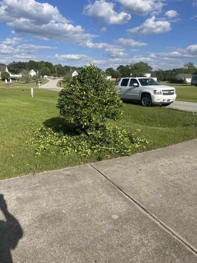 Top-rated residential landscaping in Nashville, NC - Angie’s Lawn Maintenance and Landscape