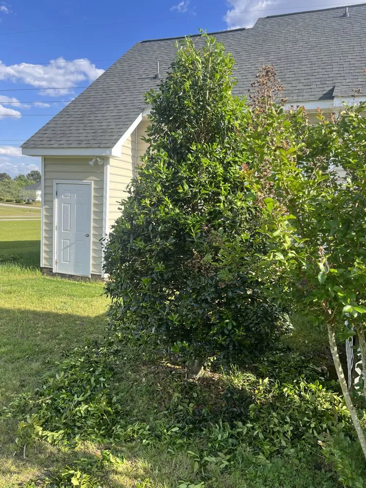 Local landscape design with custom design in Nashville, NC by Angie’s Lawn Maintenance and Landscape