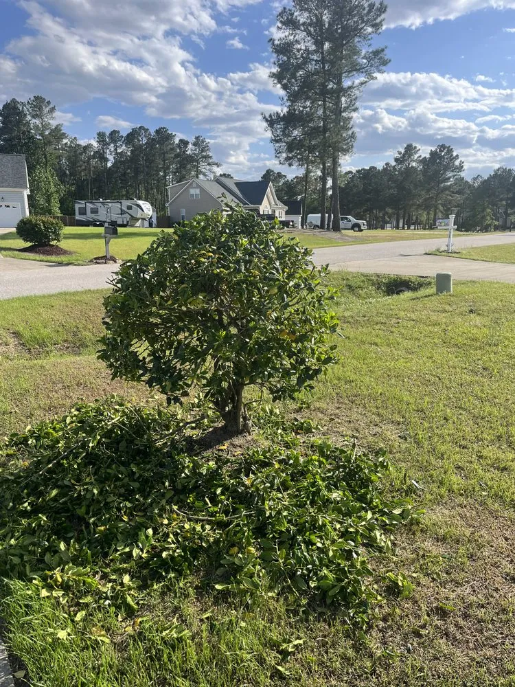 Expert outdoor landscaping near you in Nashville, NC by Angie’s Lawn Maintenance and Landscape