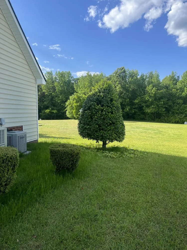 Top-rated landscaping services for beautiful yards across Nashville, NC - Angie’s Lawn Maintenance and Landscape