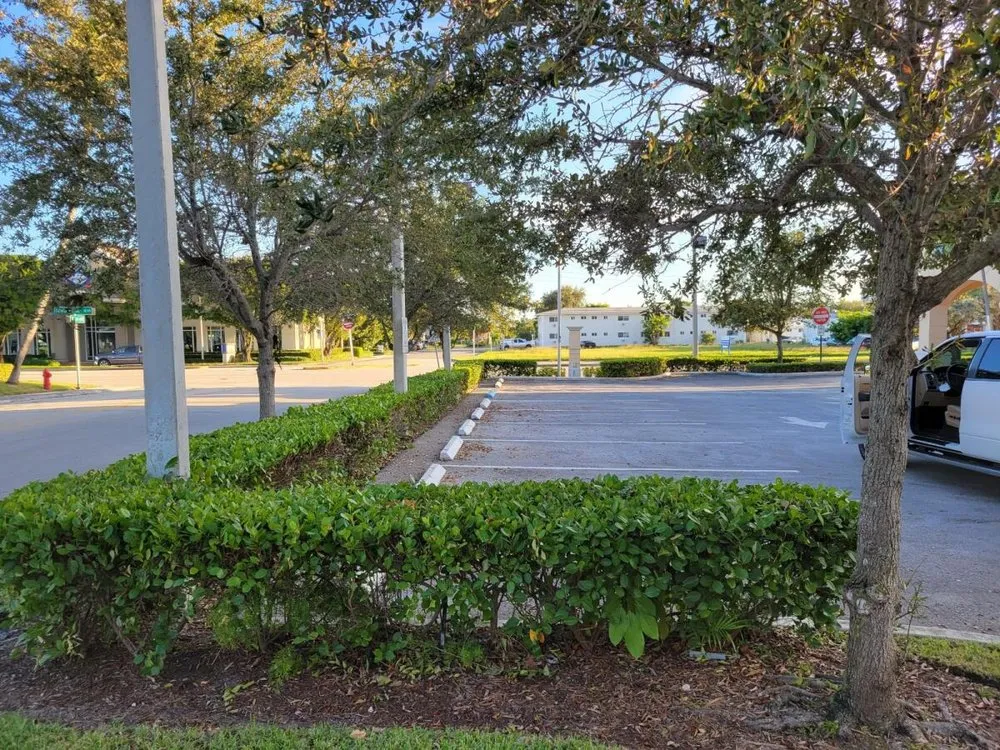 Local lawn care service for beautiful yards in Wilton Manors, FL by Angler Lawn & Landscape