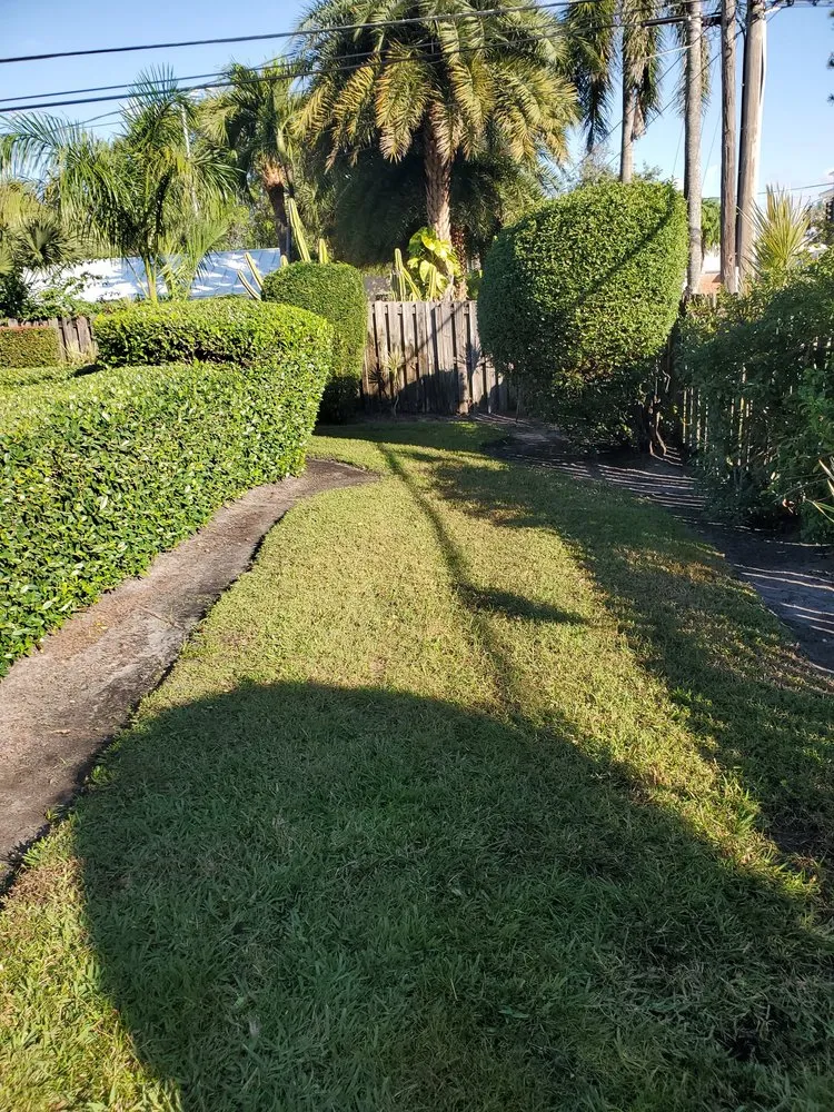 Custom landscape design for residential properties in Wilton Manors, FL by Angler Lawn & Landscape